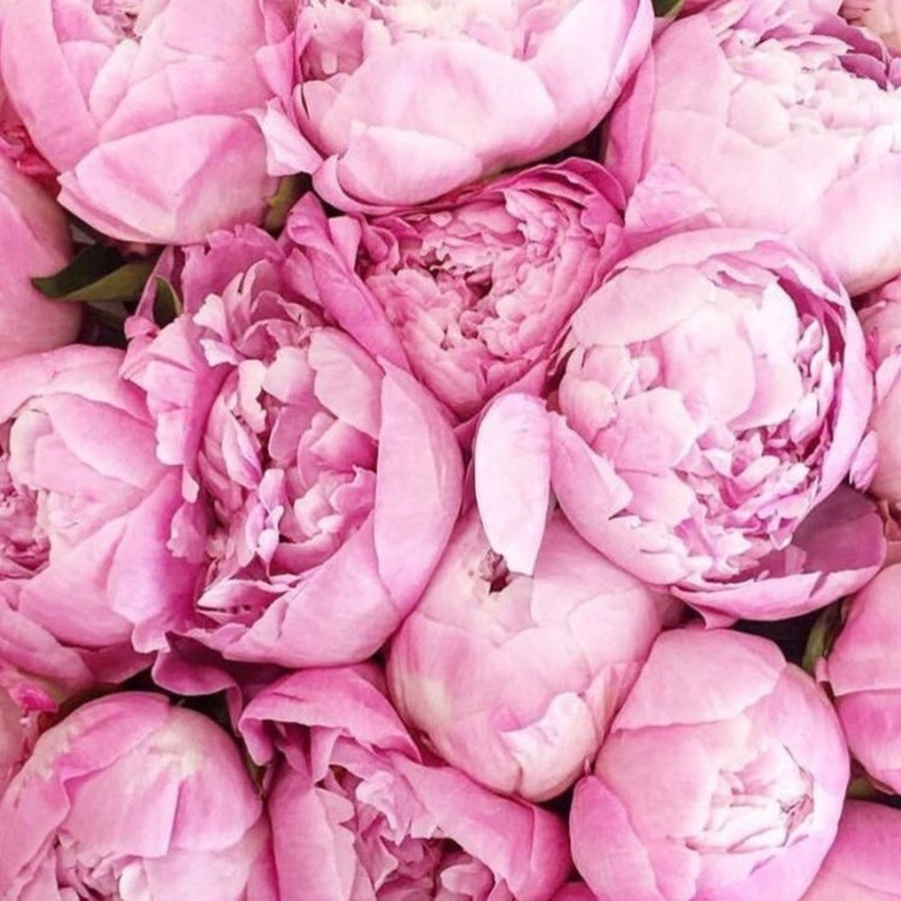 Meet your Posher, Katherine